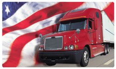 DNSEMP-C-333-FLAG Heading Home (Flag)